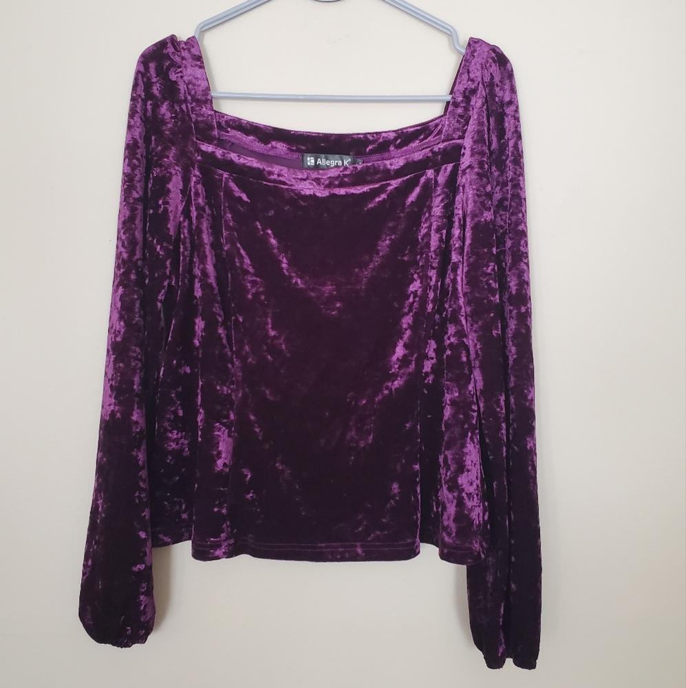 Purple Allegra K Crushed Velvet Straight Neck Long Sleeve Blouse